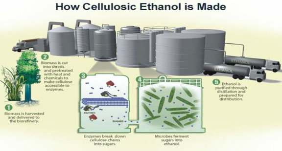 How Cellulosic Ethanol is Made