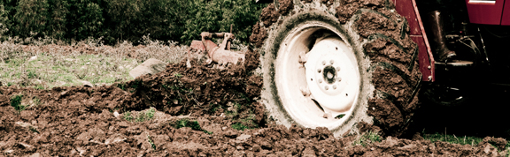 Farm Manure Waste