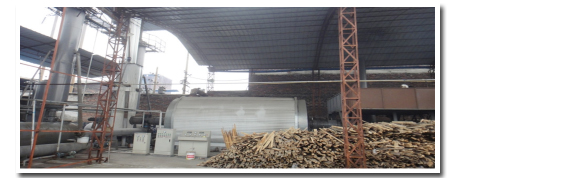 Bio Mass Biomass Waste Solution